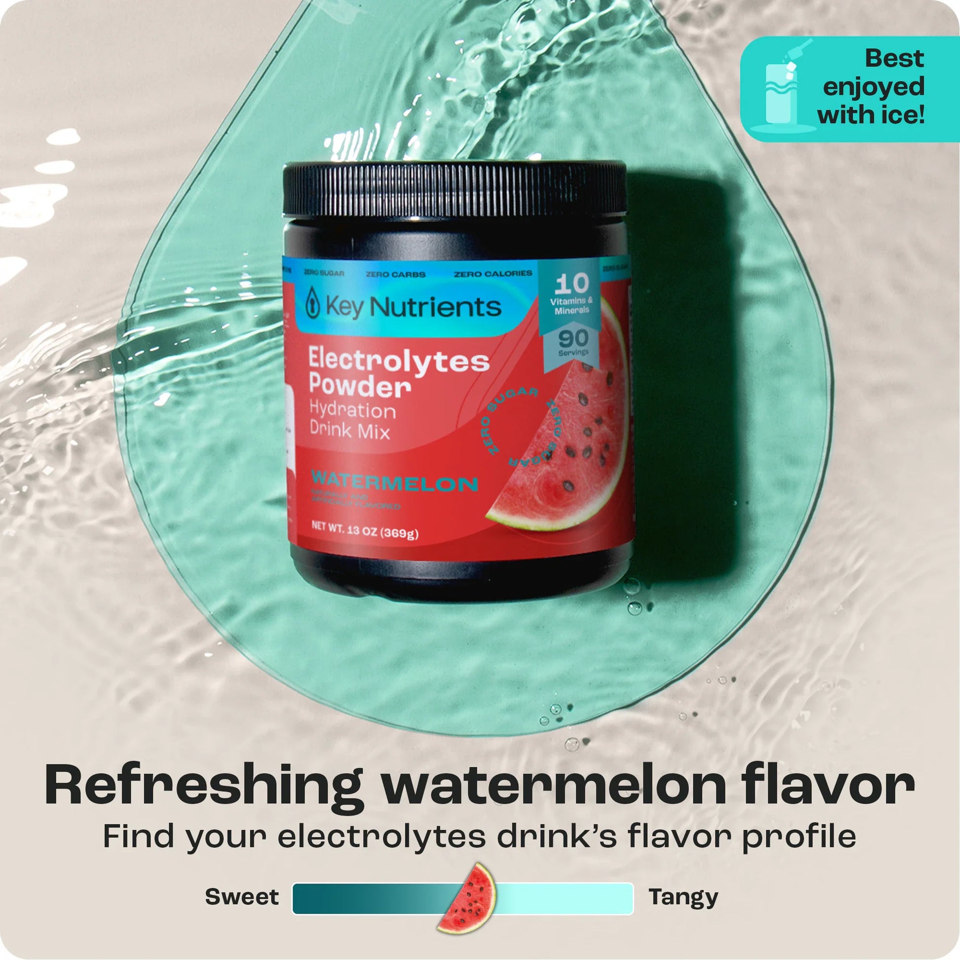Electrolyte Recovery Plus Powder (Sugar-Free) - Tree of Life
