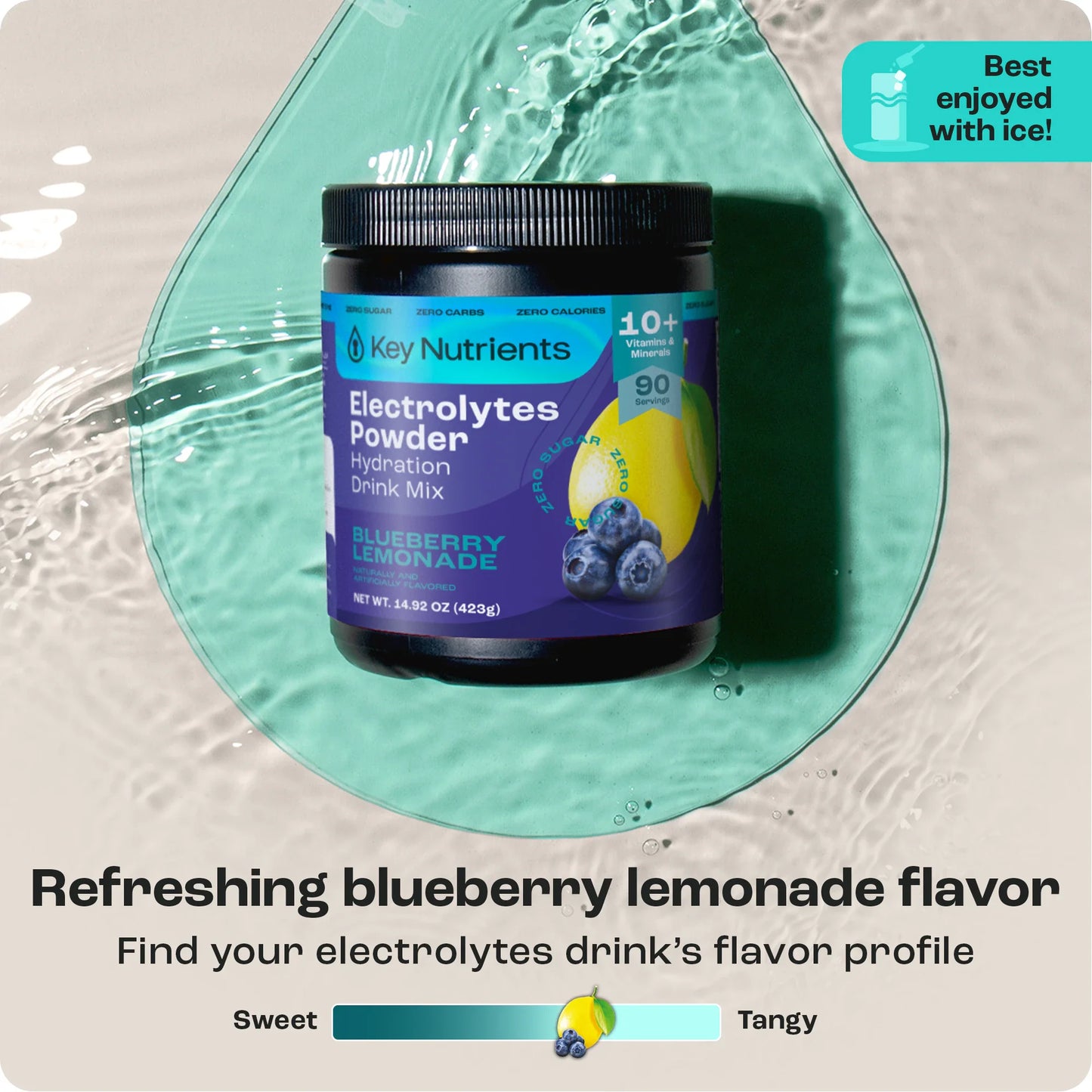 Electrolyte Recovery Plus Powder (Sugar-Free) - Tree of Life