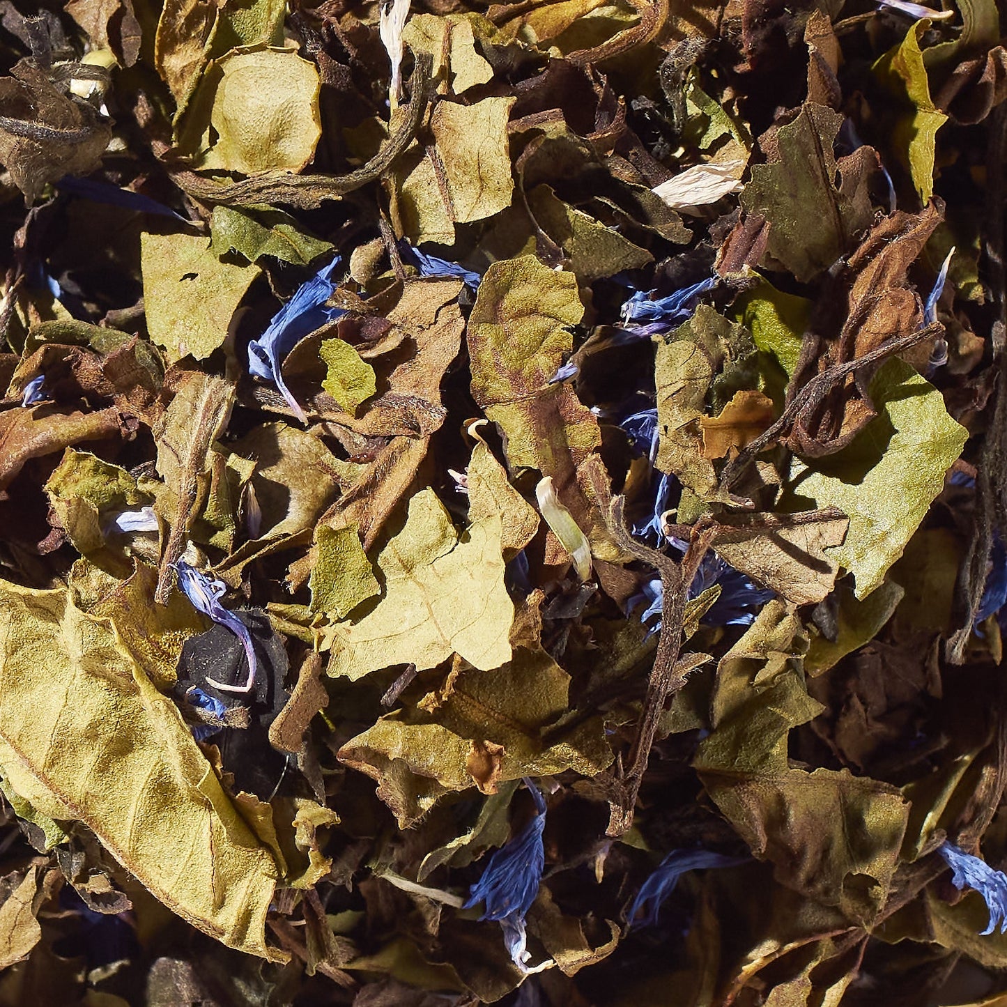 Peony Blueberry No. 43 | Loose Leaf White Tea - Tree of Life