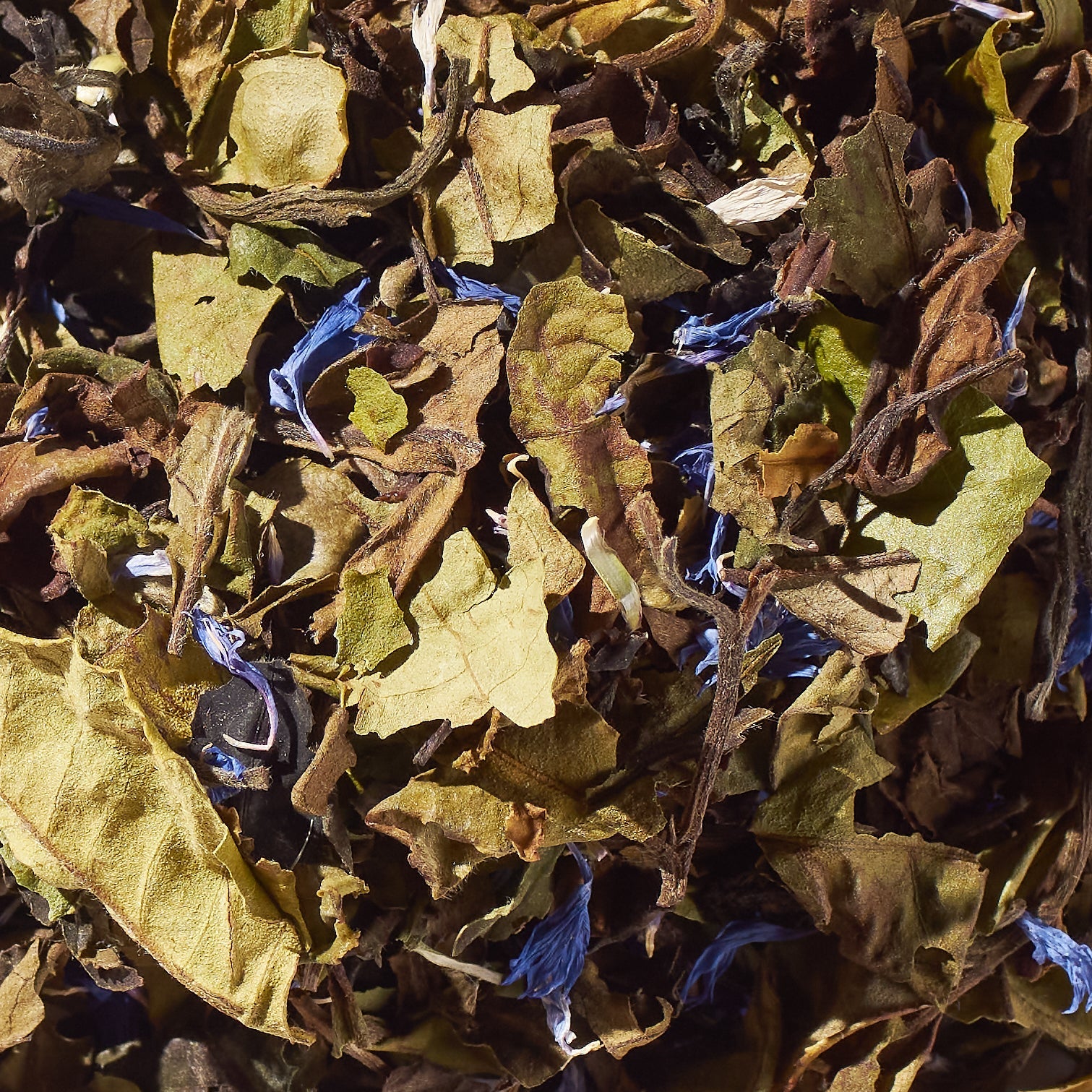 Peony Blueberry No. 43 | Loose Leaf White Tea - Tree of Life