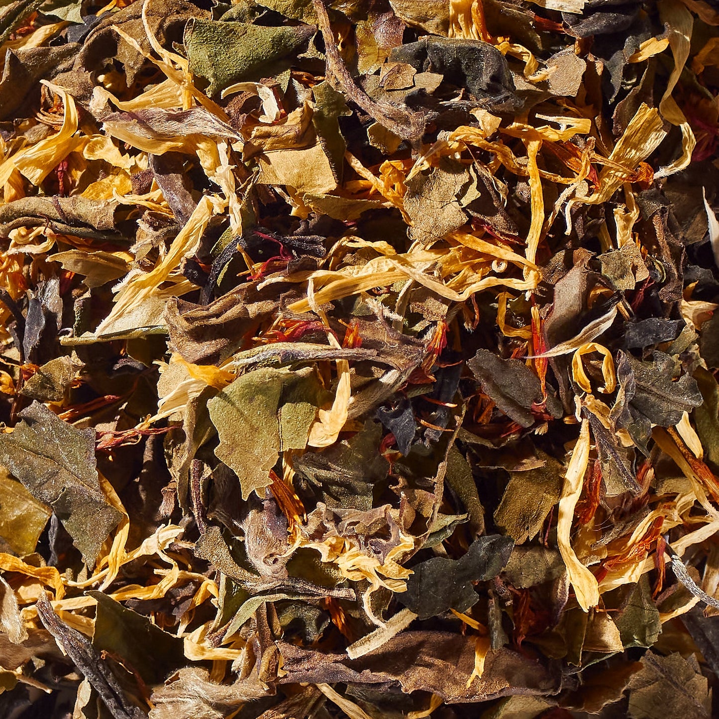 Snow Maple No. 41 | Loose Leaf White Tea - Tree of Life