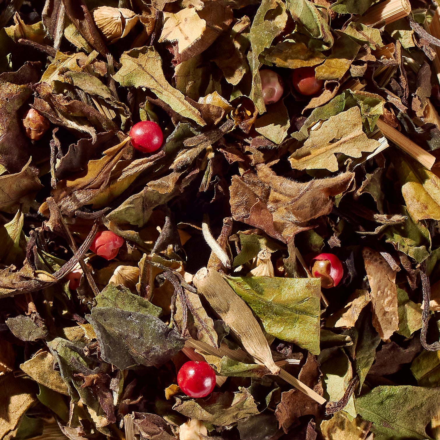 Sweet Cinnamon Chai No. 40 – Spiced Probiotic White Tea Discs - Tree of Life
