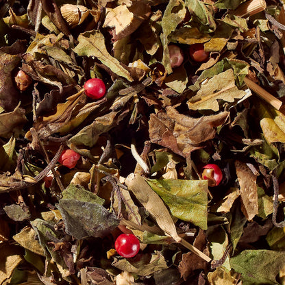 Sweet Cinnamon Chai No. 40 – Spiced Probiotic White Tea Discs - Tree of Life