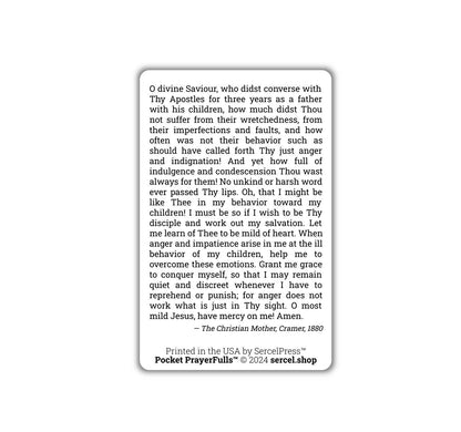 Mother's Prayer for the Spirit of Mildness: Pocket PrayerFulls™ | Durable Wallet Prayer Cards | Catholic Prayers - Tree of Life