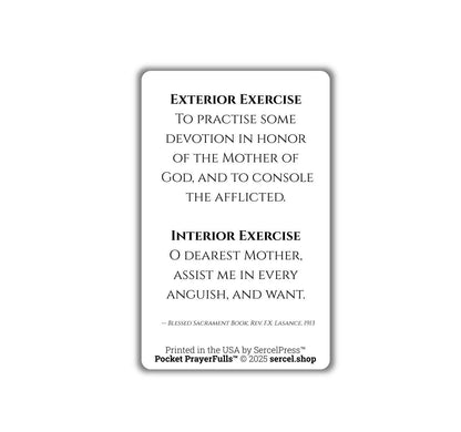 Meditations on the Sorrowful Passion, 31 Durable Plastic Cards on the Mysteries of Christ's Passion | Pocket PrayerFulls™ | Catholic Prayers - Tree of Life