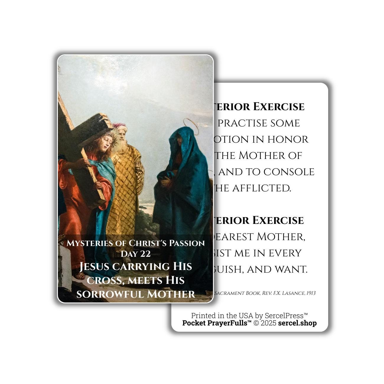 Meditations on the Sorrowful Passion, 31 Durable Plastic Cards on the Mysteries of Christ's Passion | Pocket PrayerFulls™ | Catholic Prayers - Tree of Life