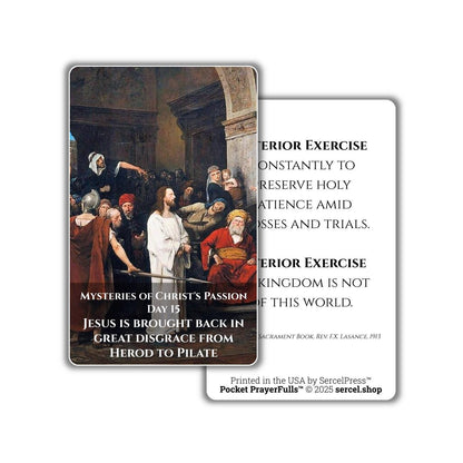 Meditations on the Sorrowful Passion, 31 Durable Plastic Cards on the Mysteries of Christ's Passion | Pocket PrayerFulls™ | Catholic Prayers - Tree of Life