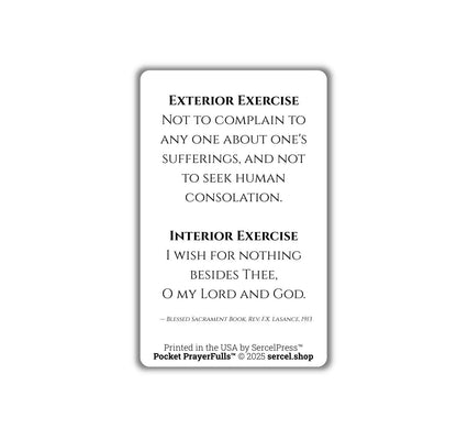 Meditations on the Sorrowful Passion, 31 Durable Plastic Cards on the Mysteries of Christ's Passion | Pocket PrayerFulls™ | Catholic Prayers - Tree of Life