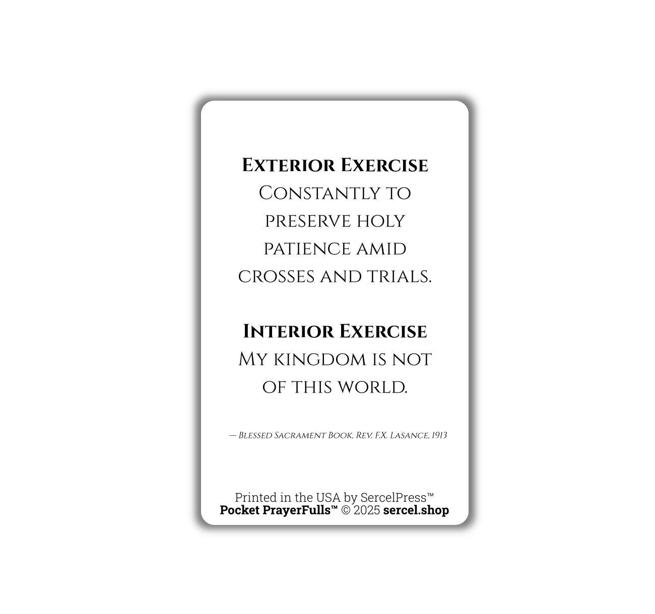 Meditations on the Sorrowful Passion, 31 Durable Plastic Cards on the Mysteries of Christ's Passion | Pocket PrayerFulls™ | Catholic Prayers - Tree of Life