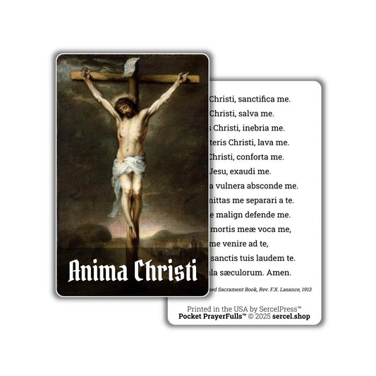 Anima Christi / Soul of Christ Sanctify Me in LATIN: Pocket PrayerFulls™ | Uncompromising Holy Cards — Built to Last. Backed for Life - Tree of Life