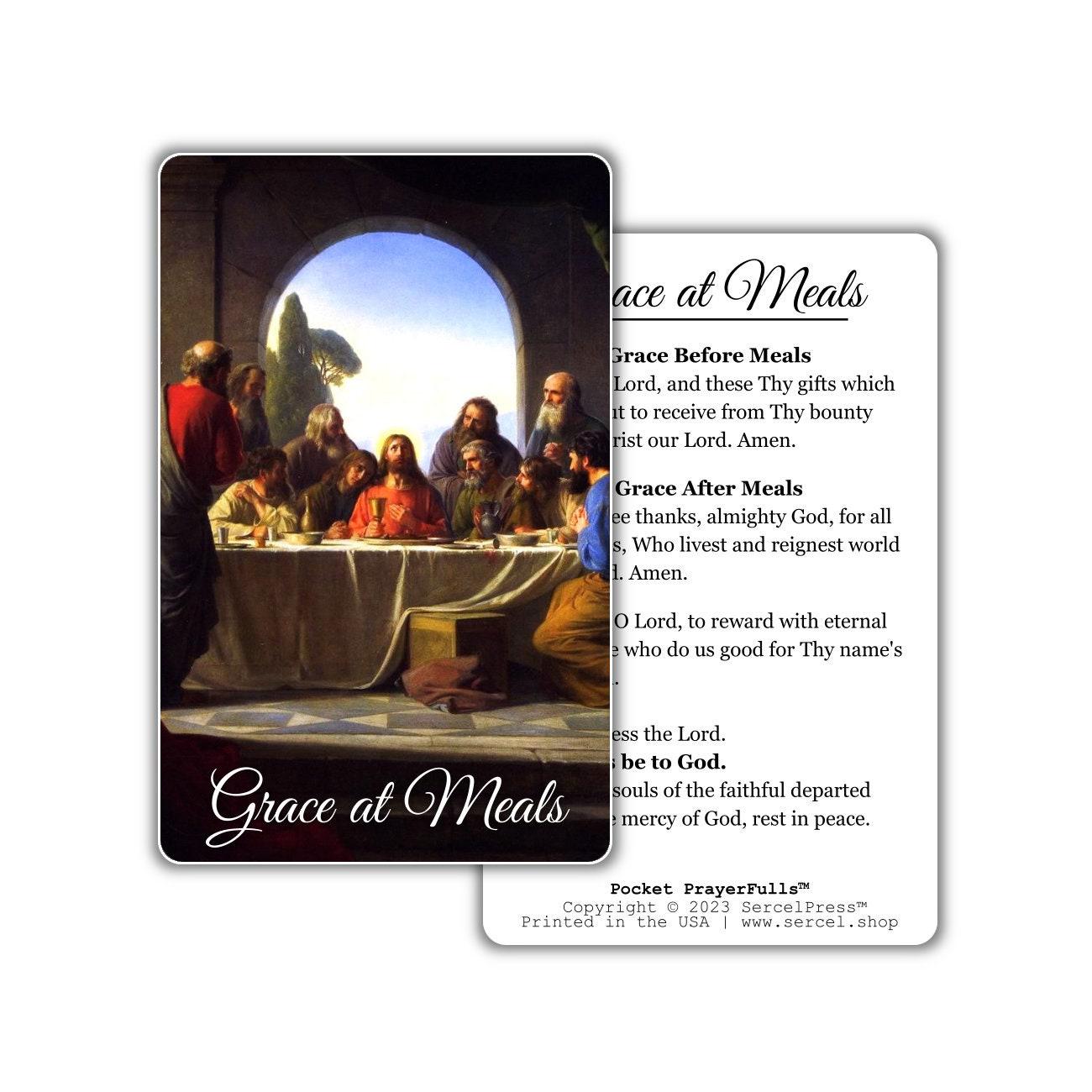 Catholic Starter Pack – 8 Essential Catholic Holy Cards — Pocket PrayerFulls™ | Uncompromising Holy Cards — Built to Last. Backed for Life - Tree of Life