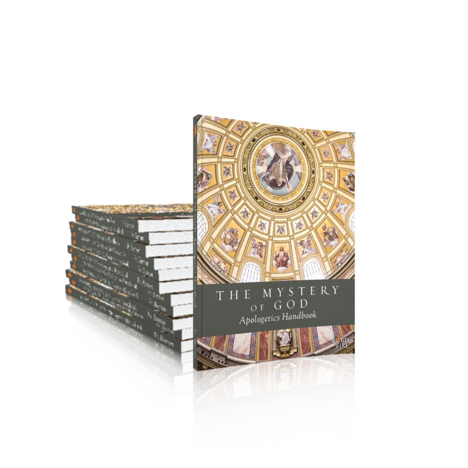 https://cdn.shopify.com/s/files/1/0005/3195/5769/products/mogapologetics-handbook.png?v=1569026438
