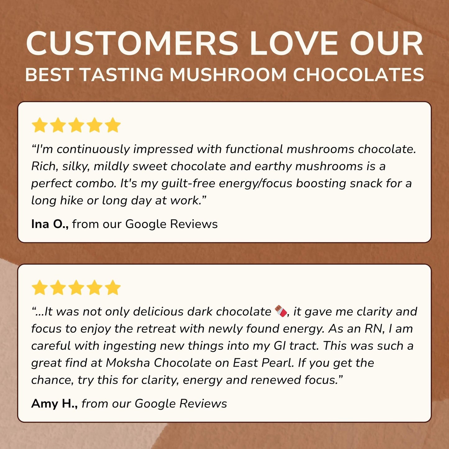 Forest Reserve™ Turkey Tail, Maitake, & Chaga Mushroom Chocolate Squares - Tree of Life