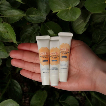 Sky and Sol Lip Jelly SPF 25 (Pack of 3) - Tree of Life