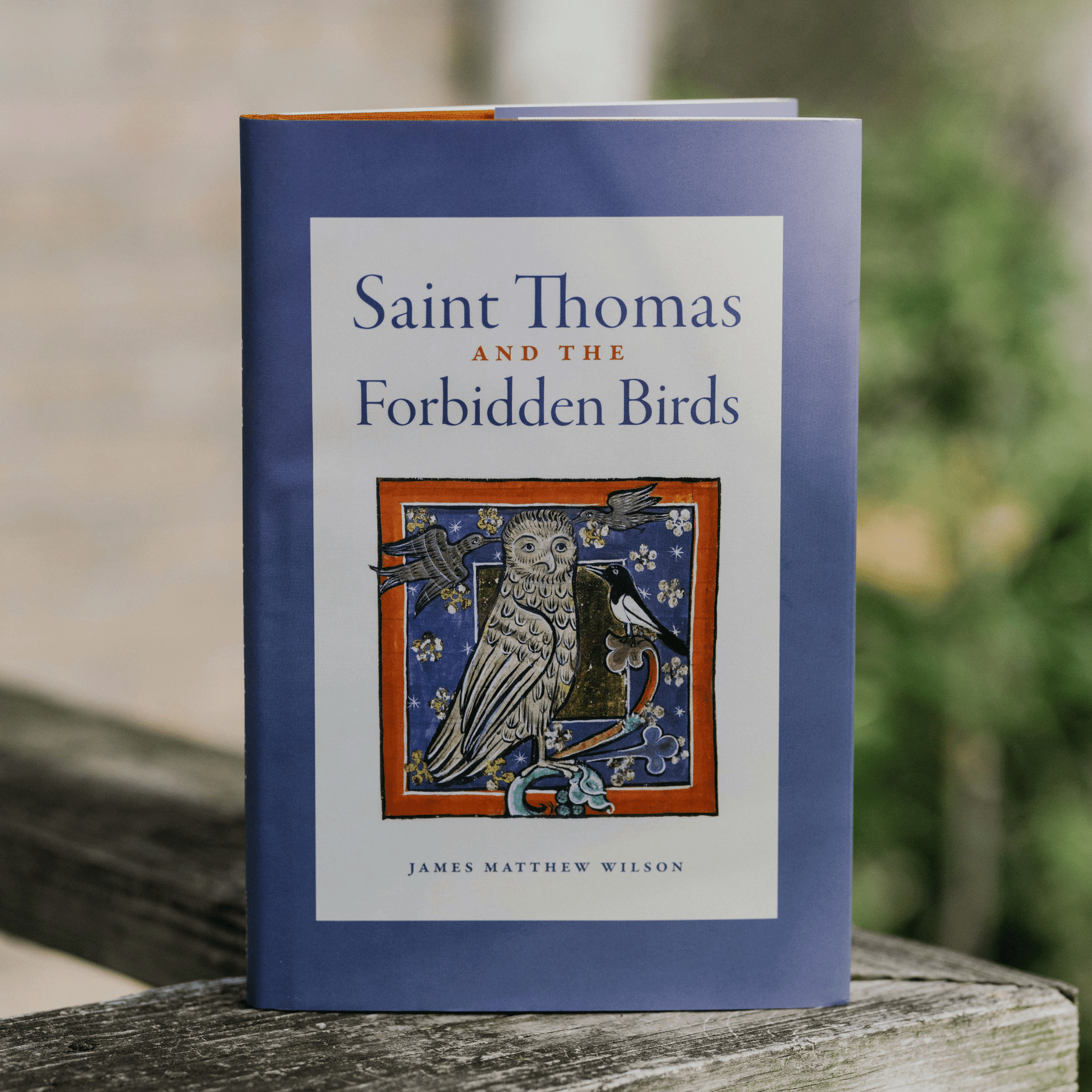 https://cdn.shopify.com/s/files/1/0005/3195/5769/files/st-thomas-and-the-forbidden-birds-lifestyle-1.png?v=1758317431
