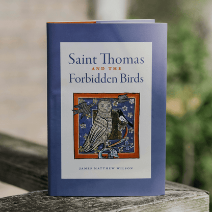 https://cdn.shopify.com/s/files/1/0005/3195/5769/files/st-thomas-and-the-forbidden-birds-lifestyle-1.png?v=1758317431