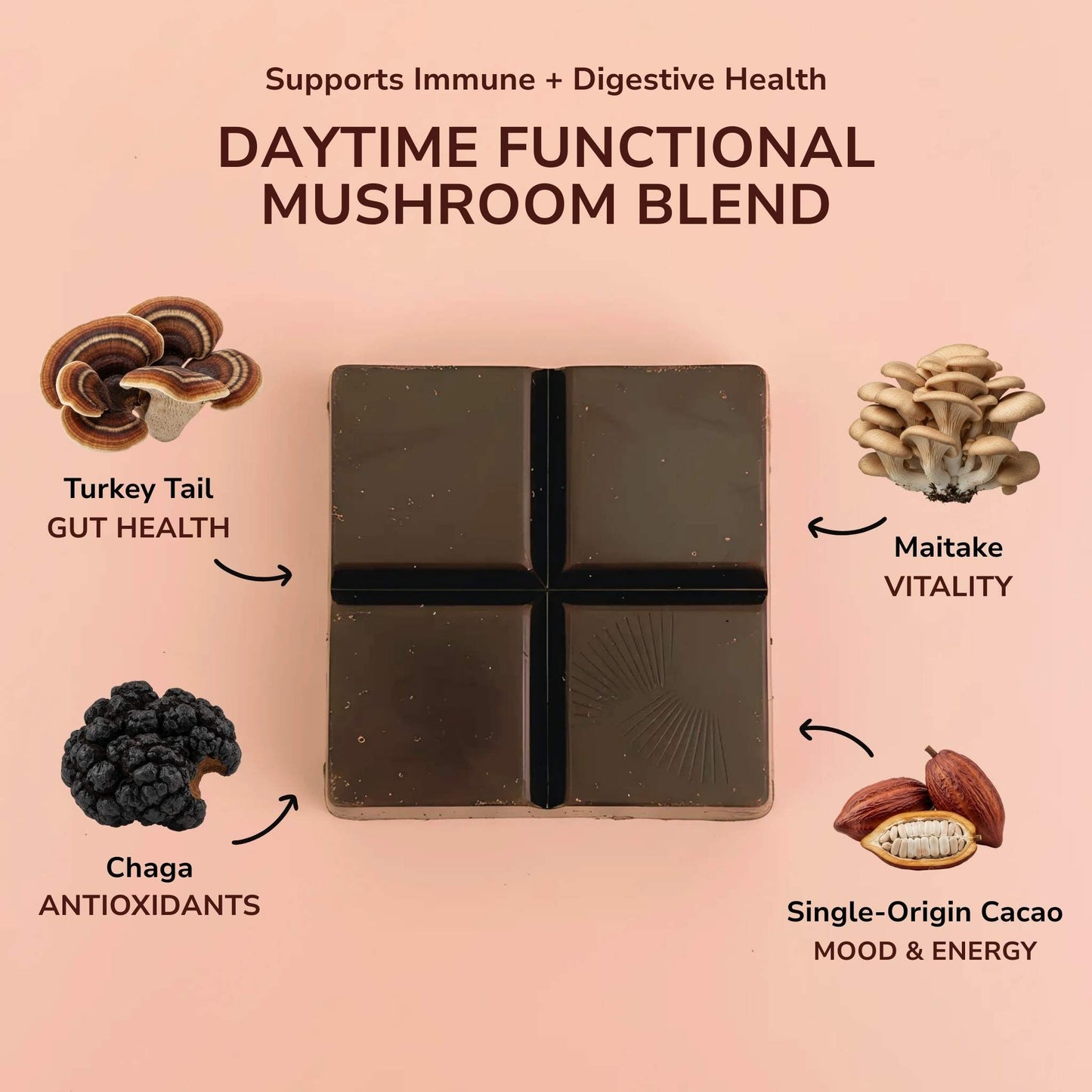Forest Reserve™ Turkey Tail, Maitake, & Chaga Mushroom Chocolate Squares - Tree of Life