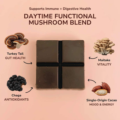 Forest Reserve™ Turkey Tail, Maitake, & Chaga Mushroom Chocolate Squares - Tree of Life