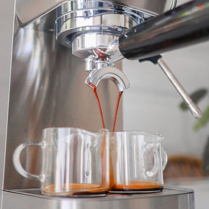 Wirsh 20 Bar Espresso Machine with Plastic Free Portafilter and Steamer, Pressure Gauge, Touch Screen, Full Stainless Steel (Home Barista Plus) - Tree of Life