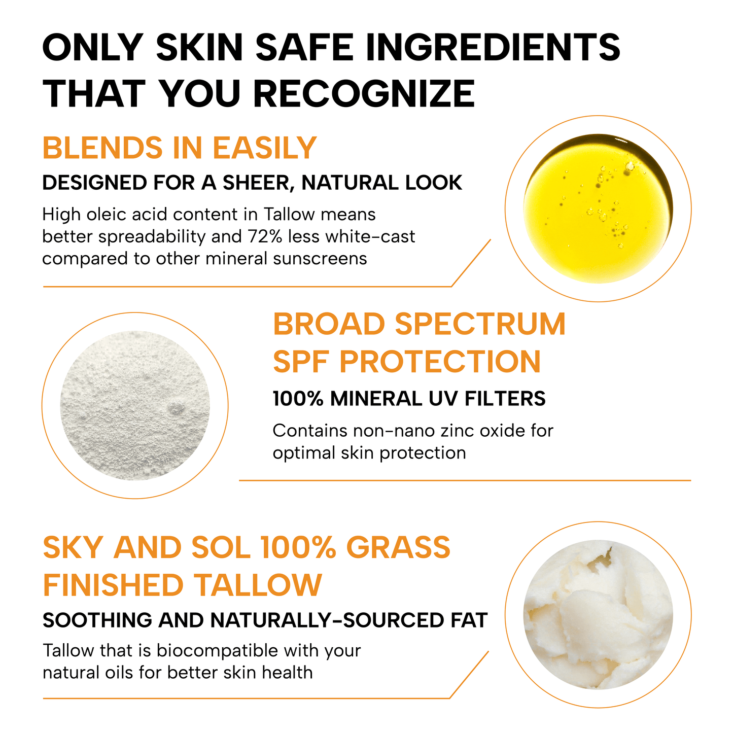 Sky and Sol Face & Body Sunscreen - Tree of Life